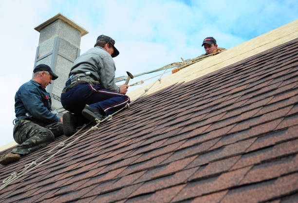 Best Roof Leak Repair  in Peoria, IL